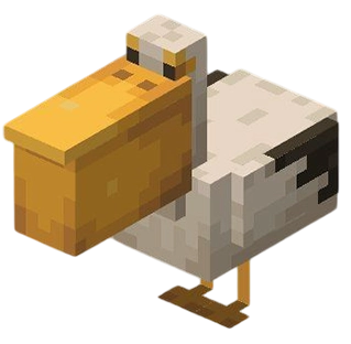Pelican
