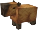 Capybara
